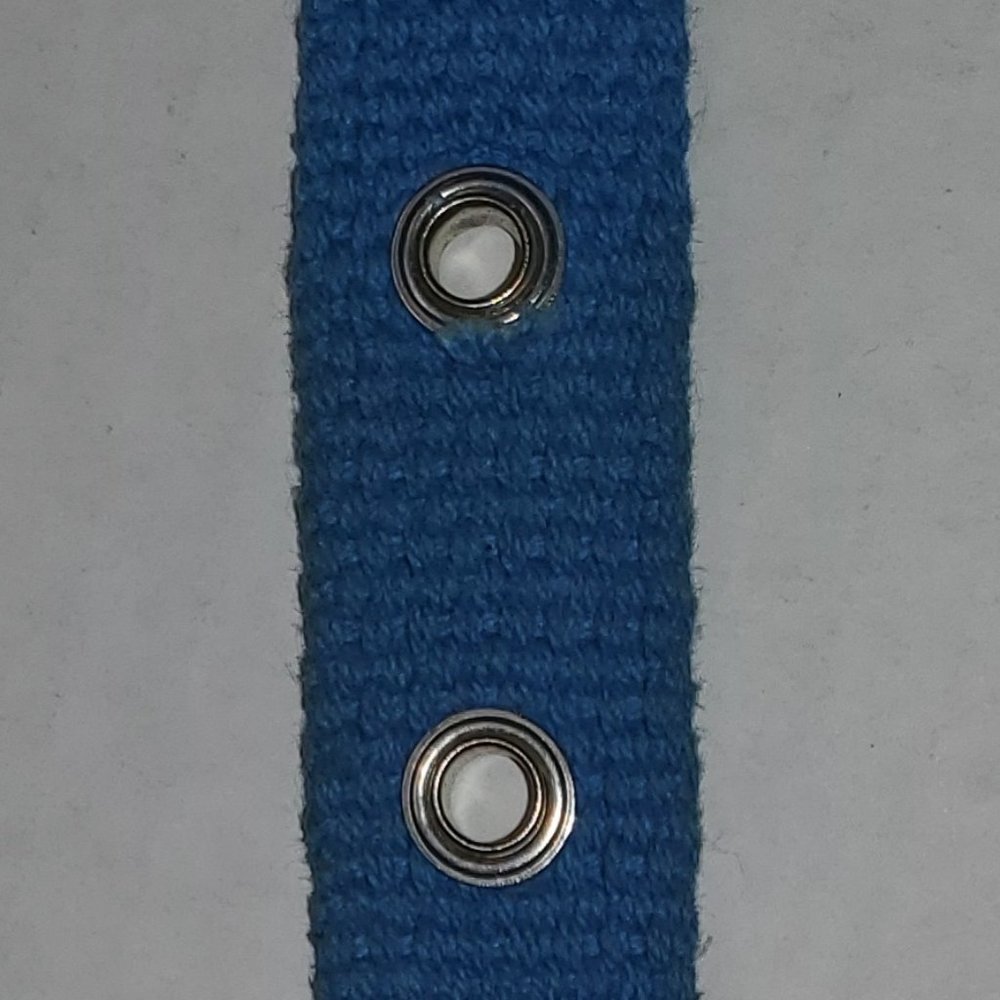 HTF Victoria Secret Pink RARE Dog Collar Vintage 2000's Aqua Blue Sooo Pretty - Picture 4 of 10